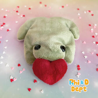 Custom pocket bean bag frog plush stuffed animal by Rhi and D Dept.